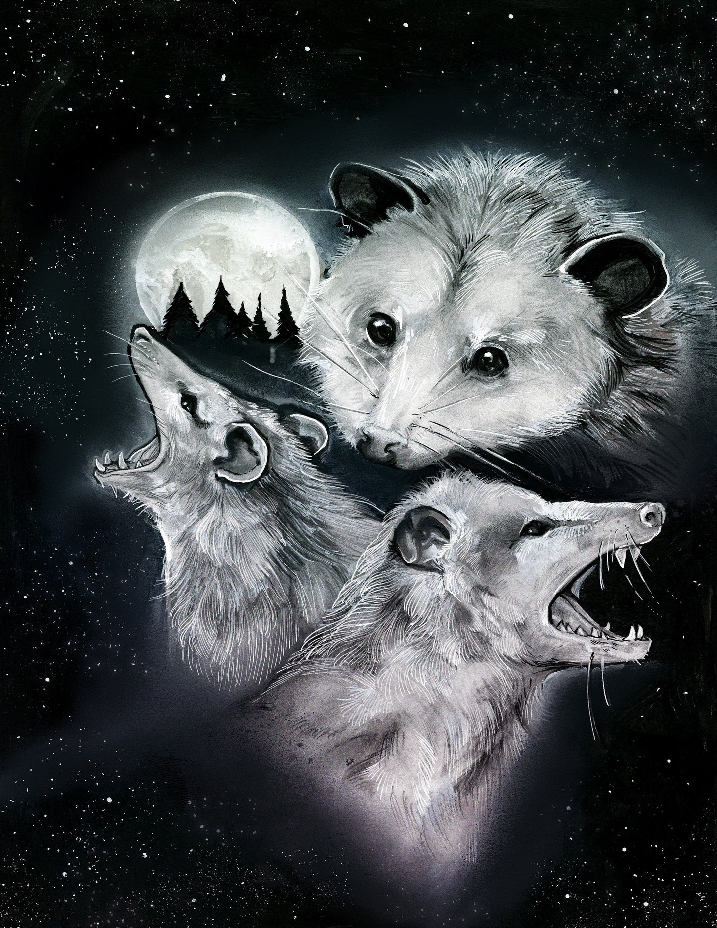 3 Possum Moon